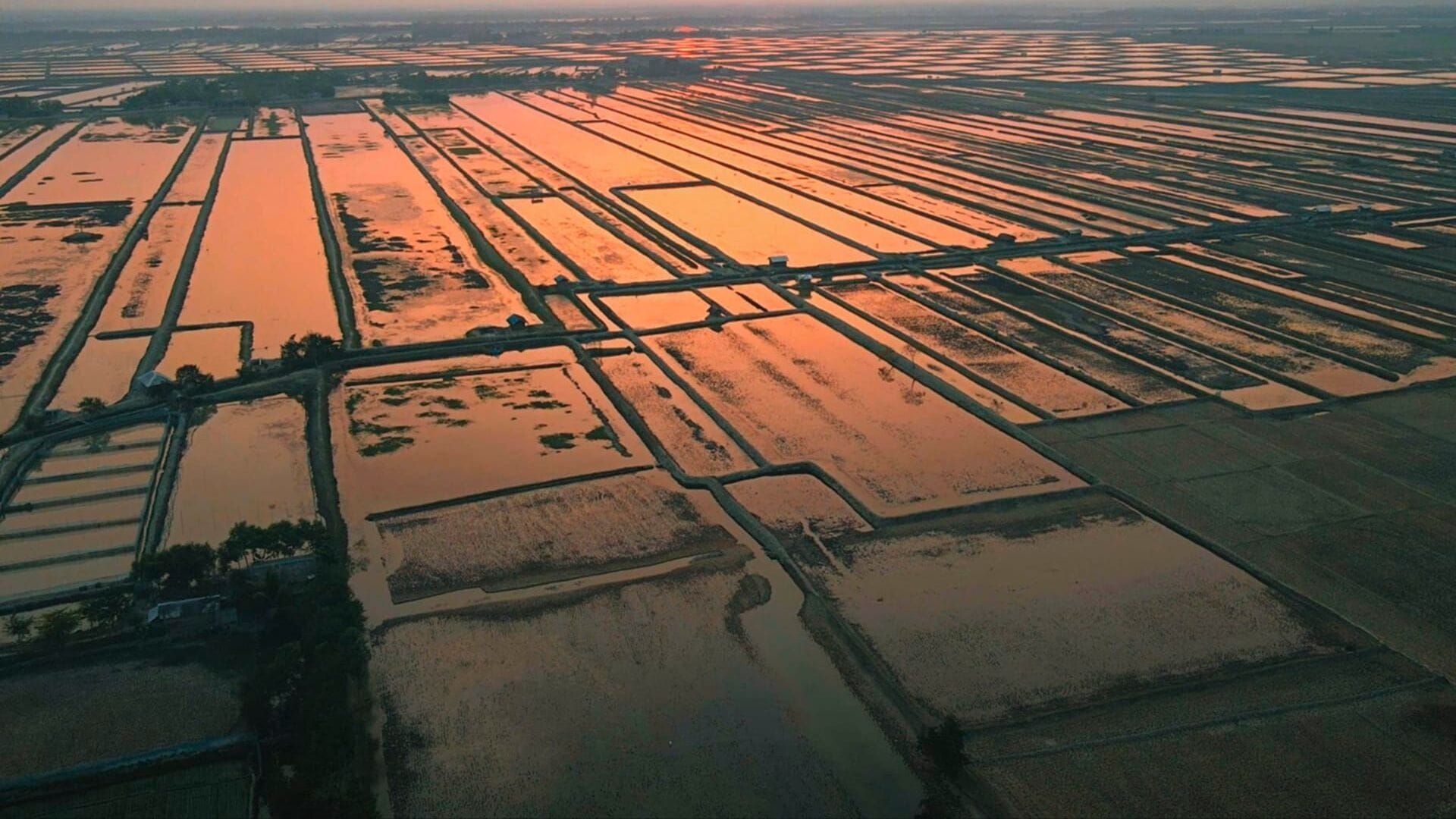 Capturer le CO2 dans l'air : un moyen de refroidir la Terre ?