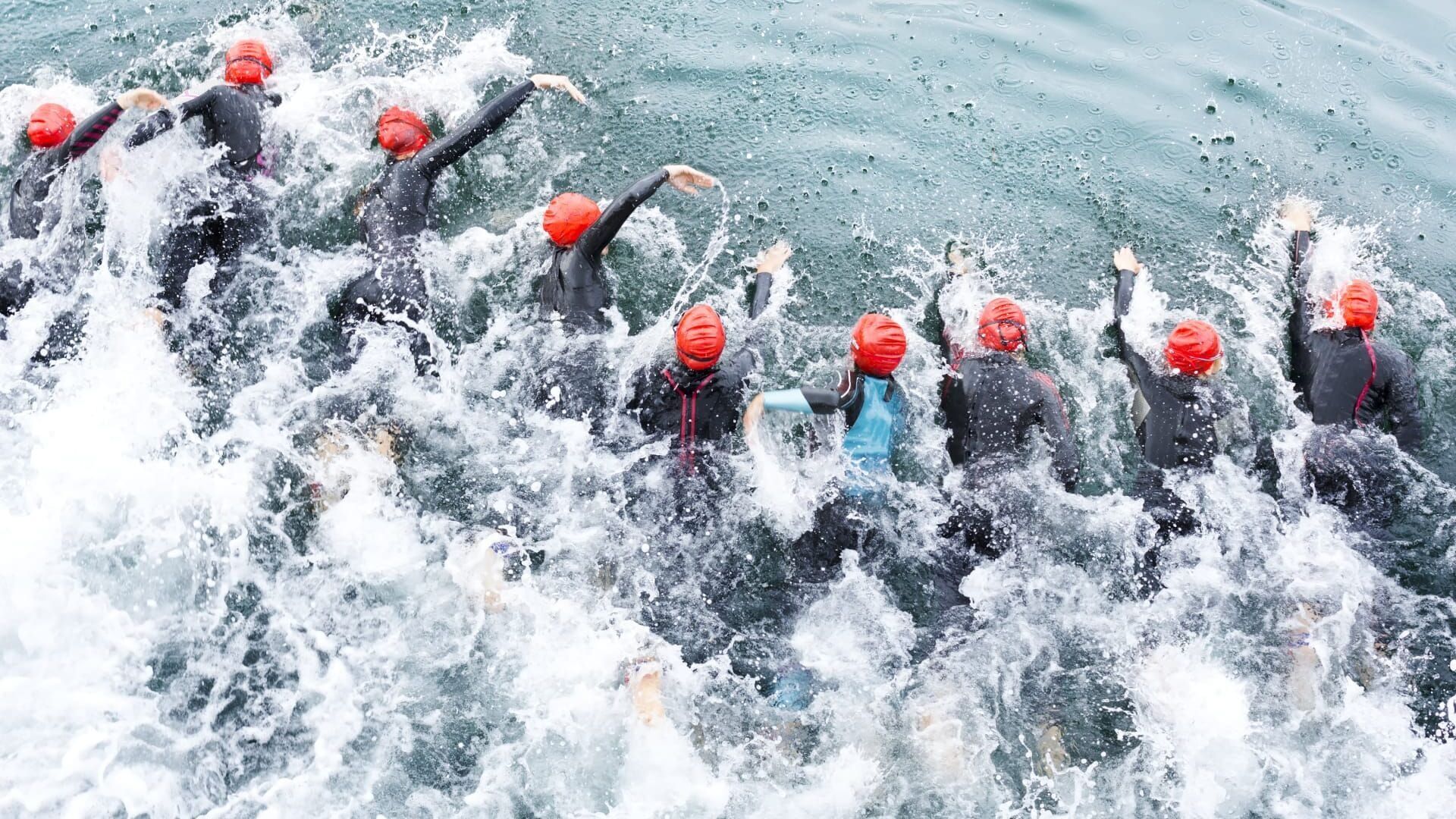 Triathlon : World Triathlon Championship Series