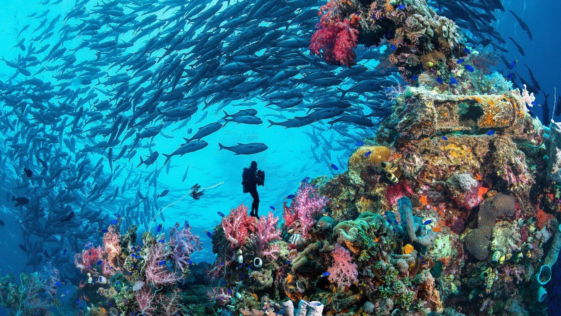 Truk Lagoon : Le grand cimetière sous la mer