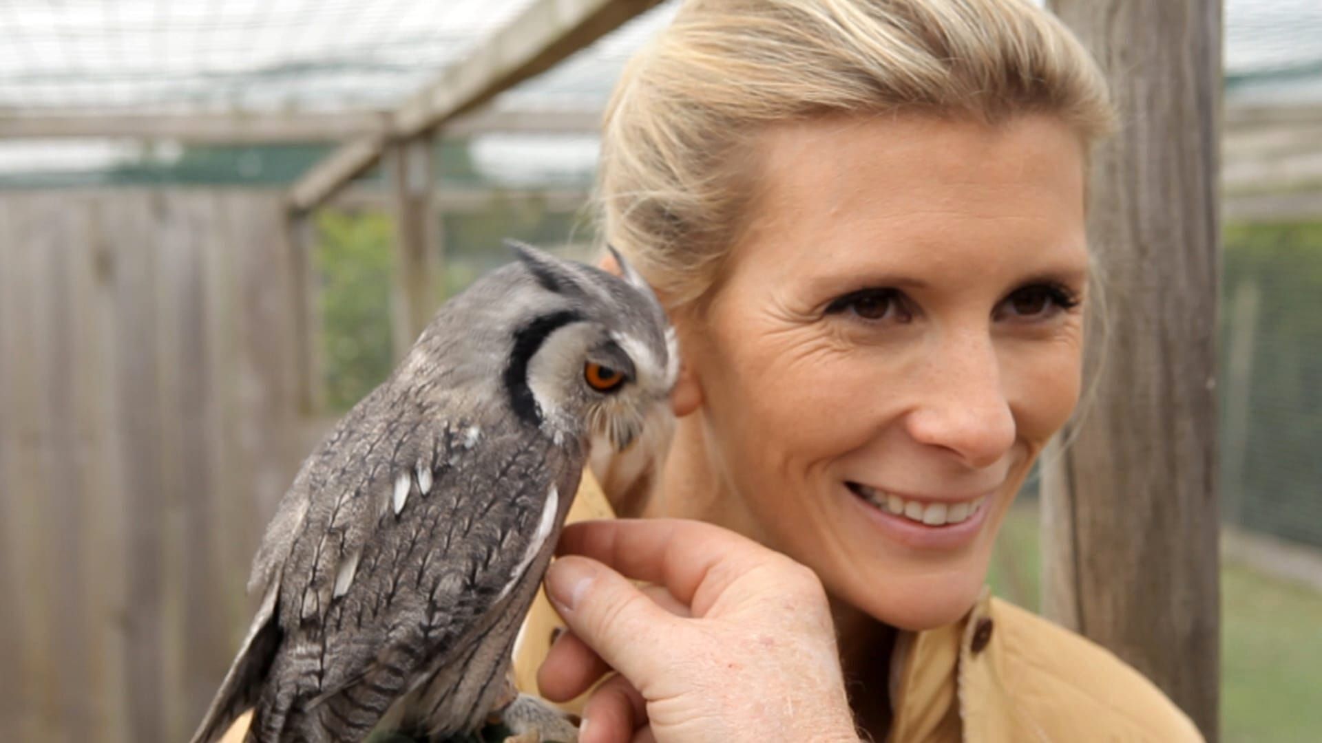Hélène et les animaux