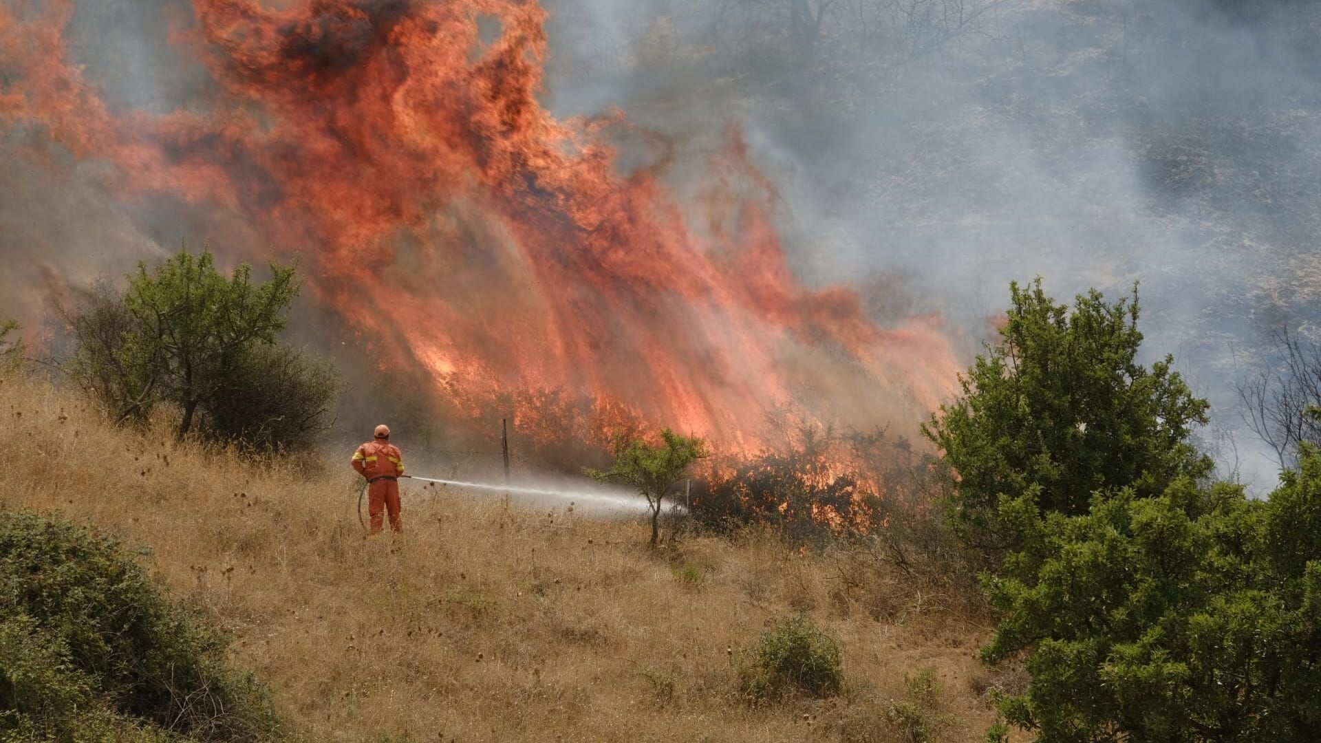 Sicile : à qui profitent les incendies ?