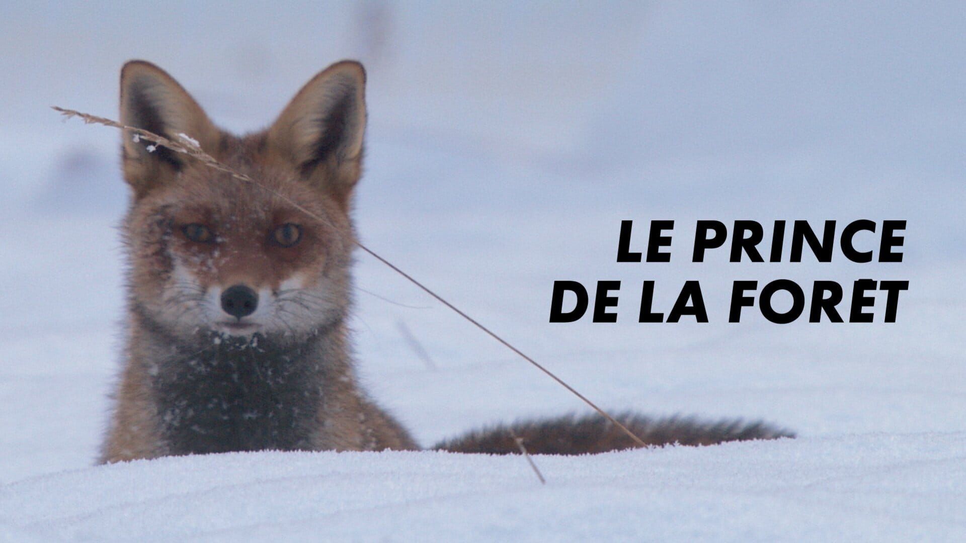 Le prince de la forêt