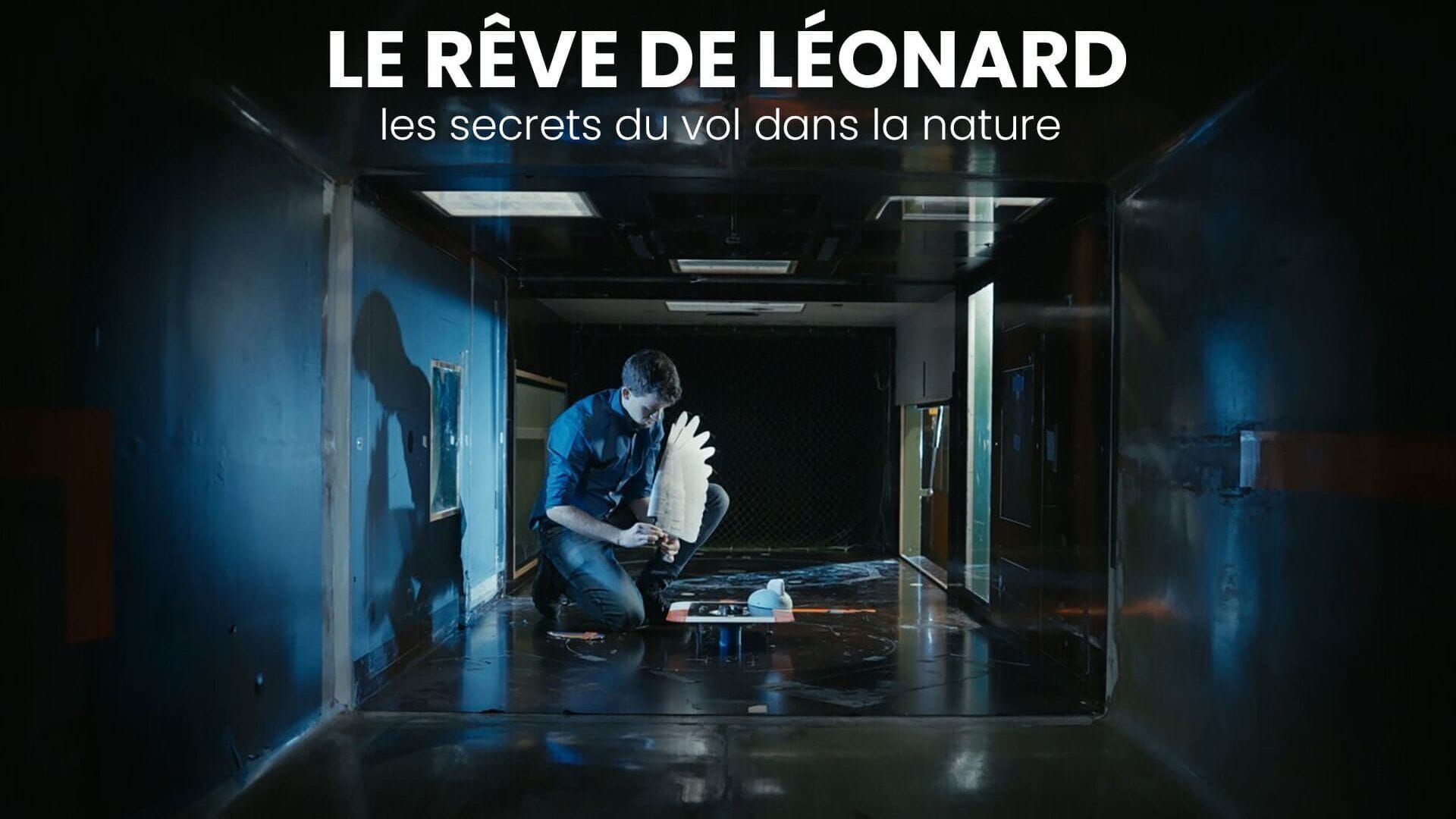 Le rêve de Léonard : les secrets du vol dans la nature