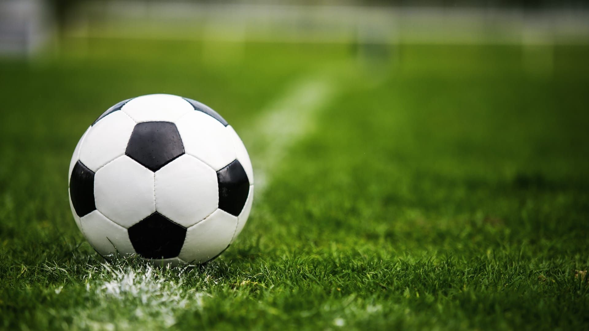 Football : Ligue des champions féminine