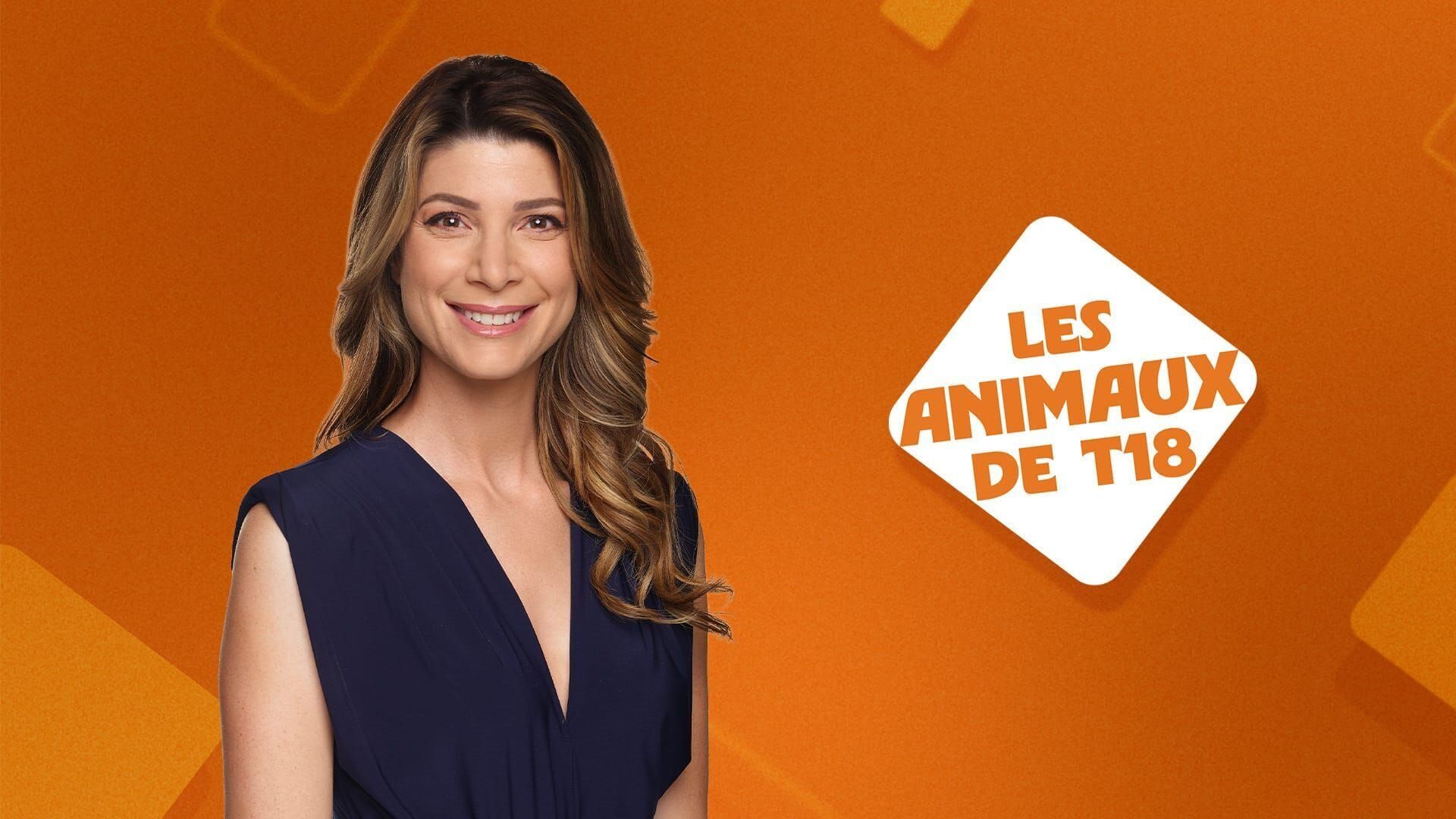 Les animaux de T18
