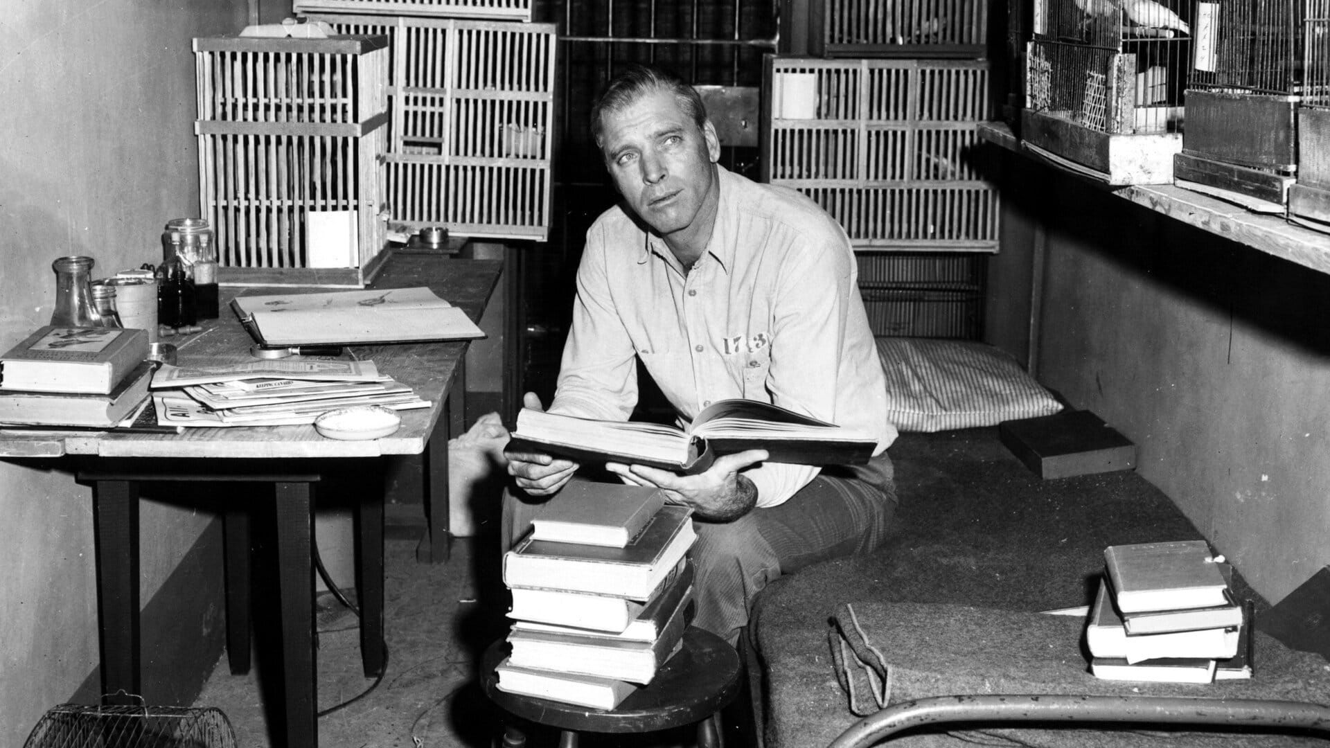 Le Prisonnier d'Alcatraz