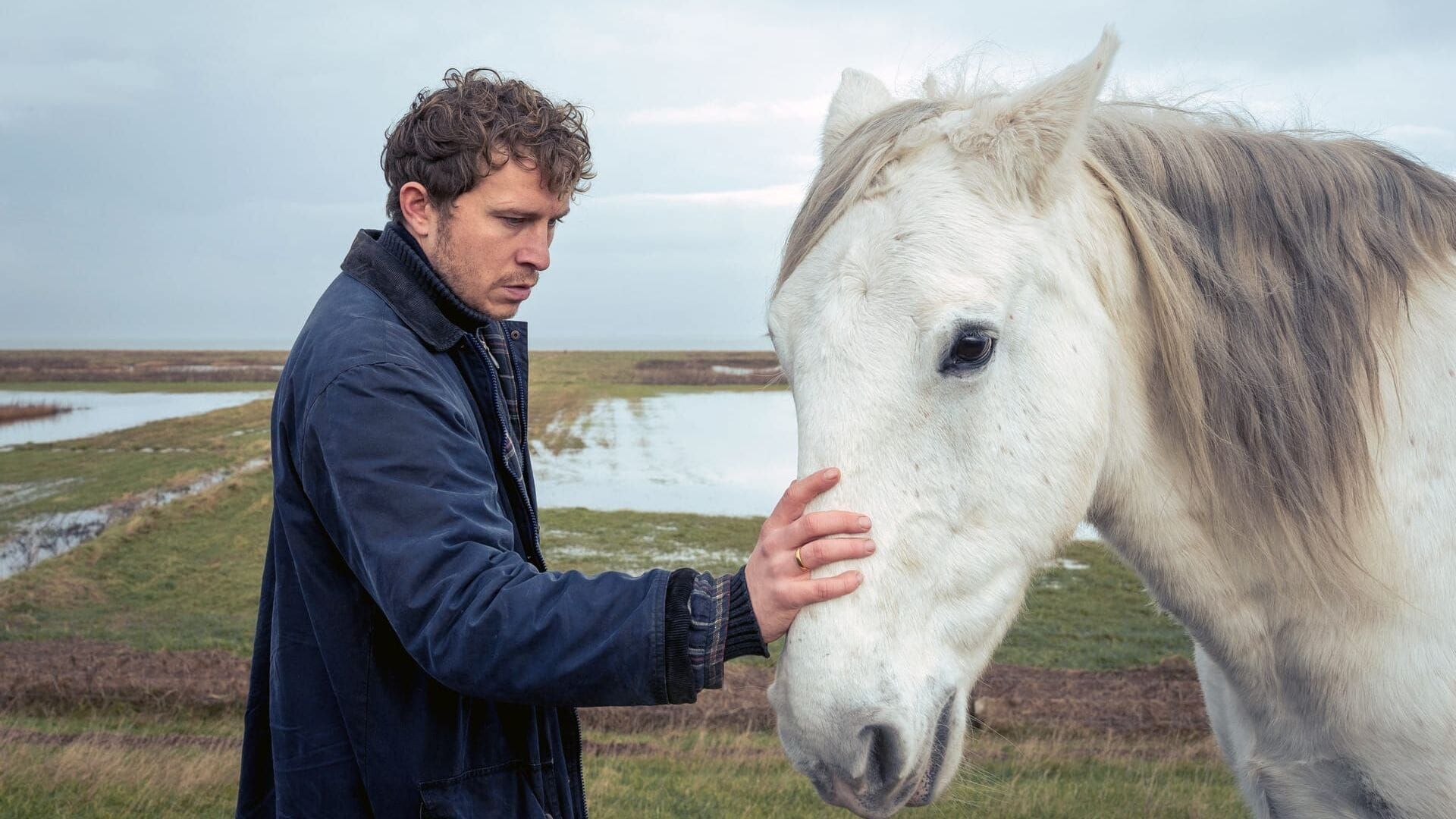 L'homme au cheval blanc