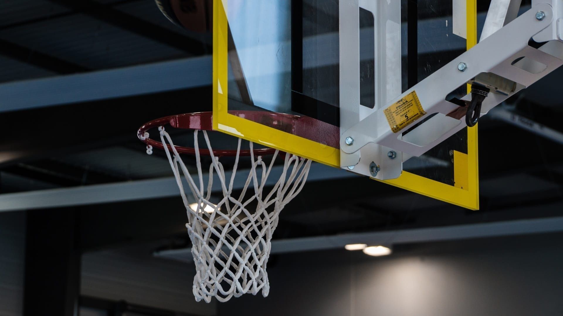 Basket-ball : Euroligue masculine