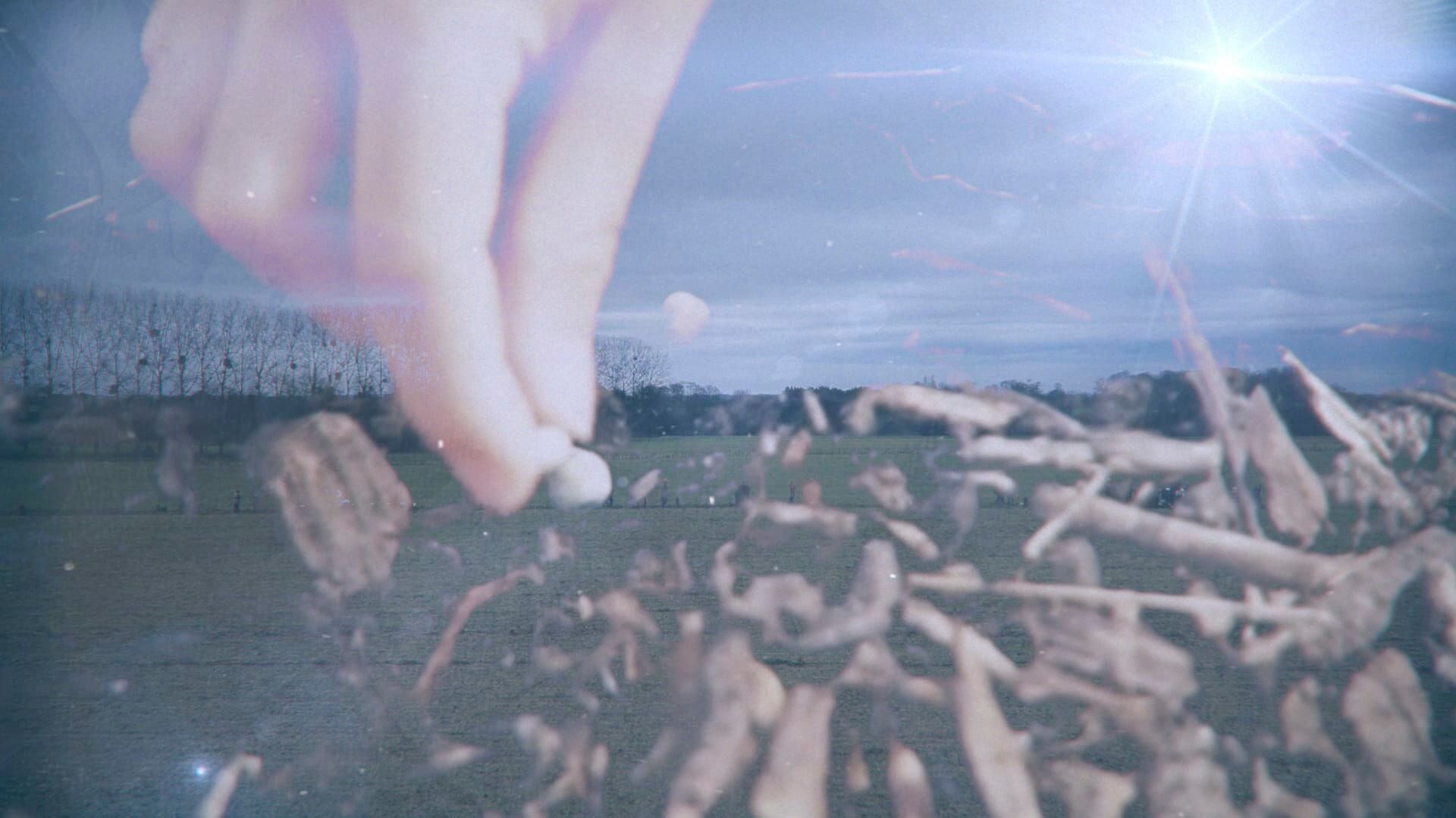Nos mains dans la terre, l'aventure des enfants et des arbres