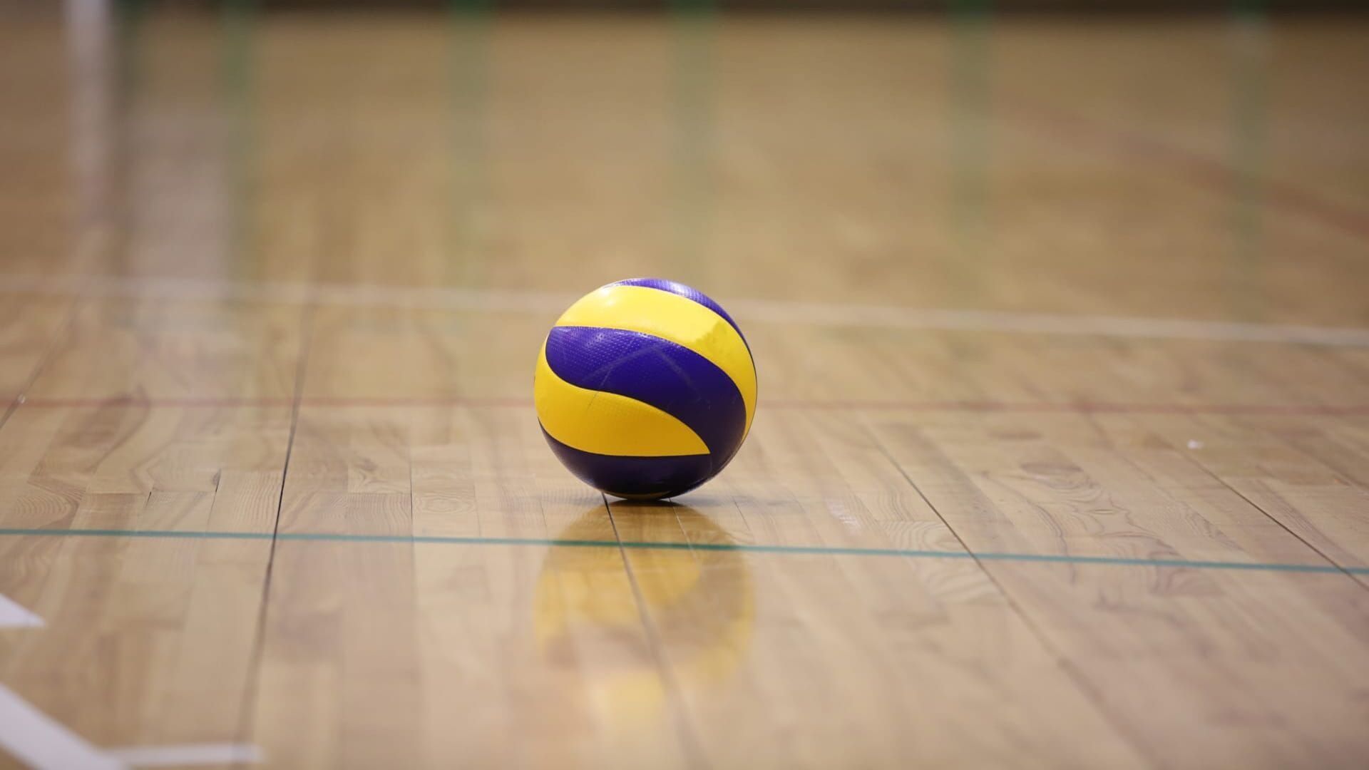 Volley-ball : Championnat d'Europe masculin