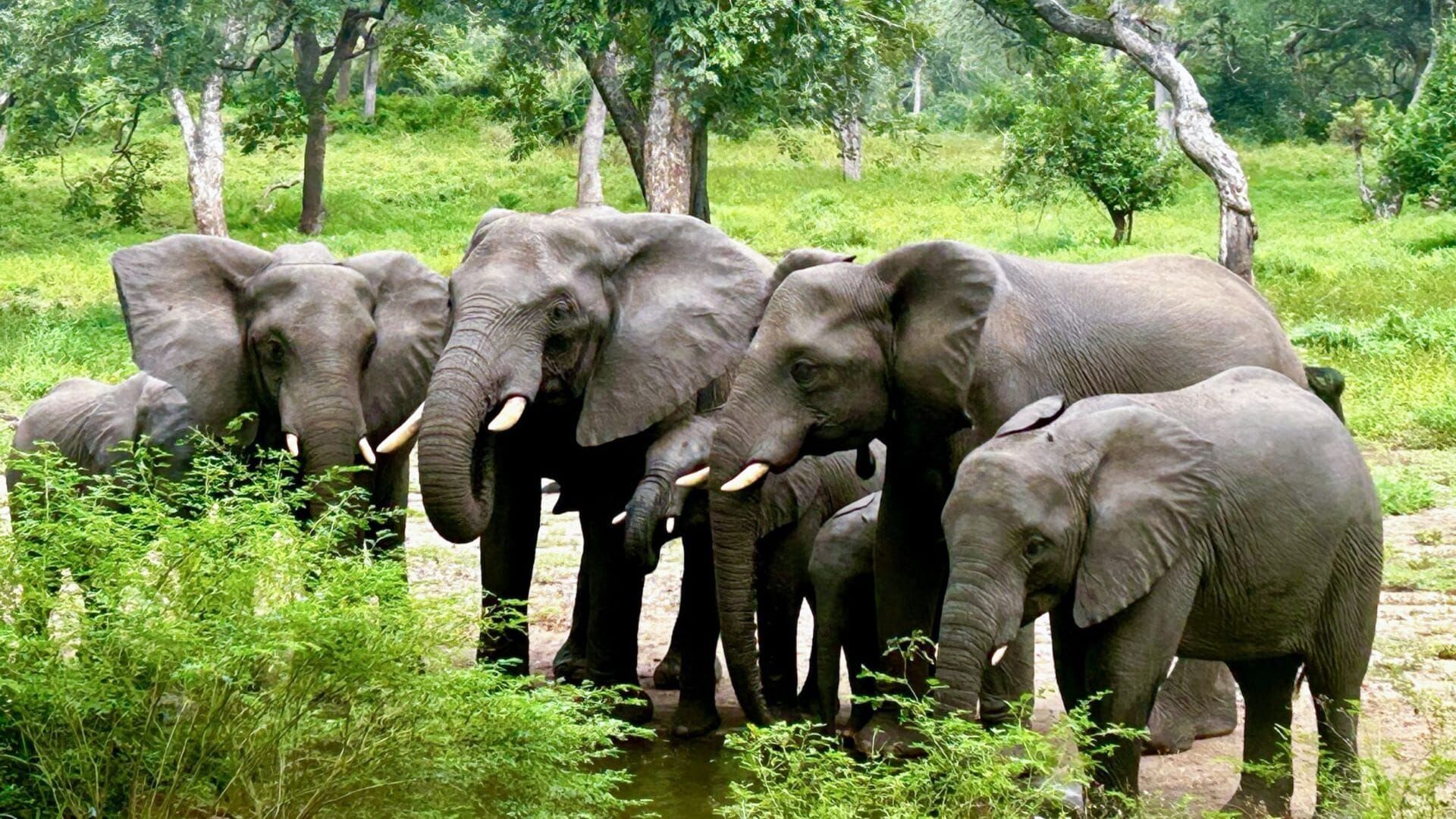 Malawi