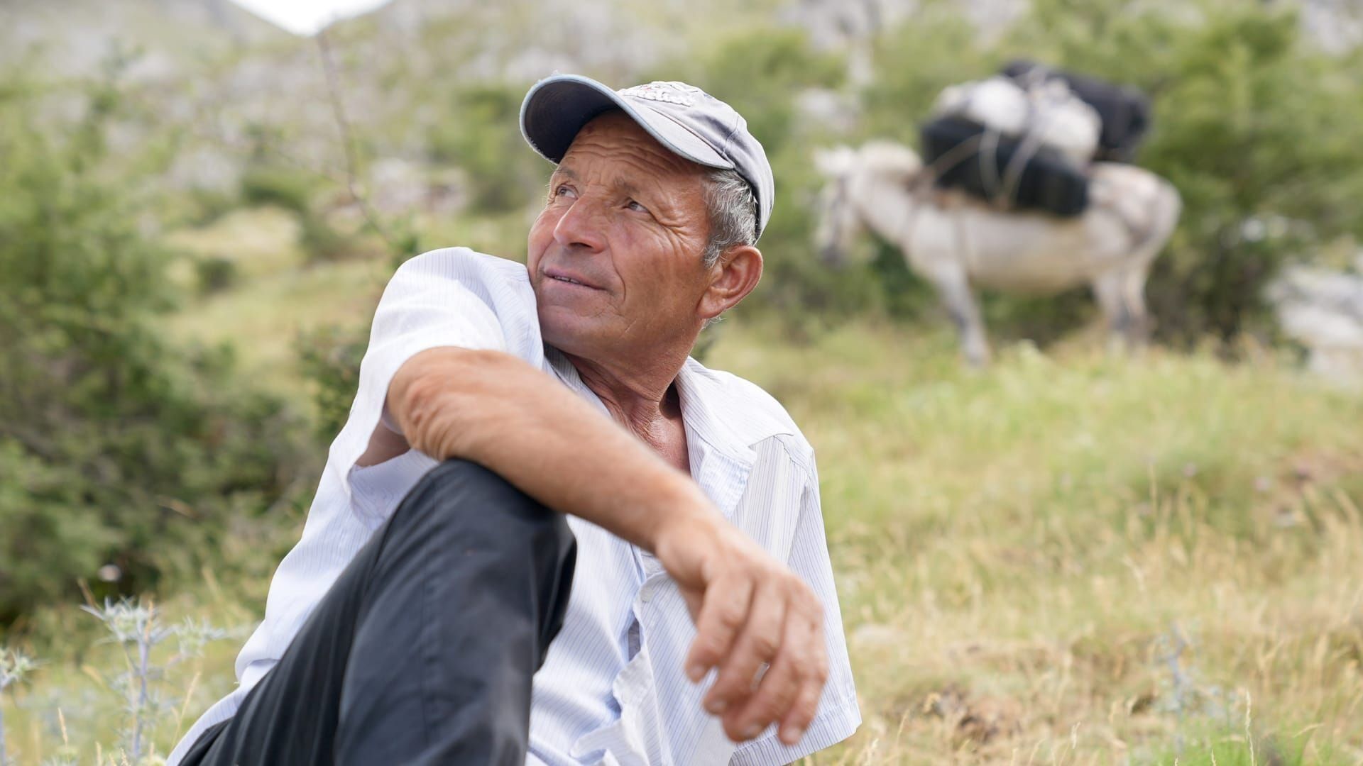 Albanie, une vie de berger