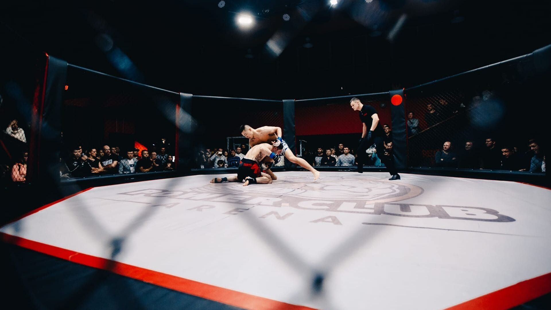 MMA : Dana White's Contender Series