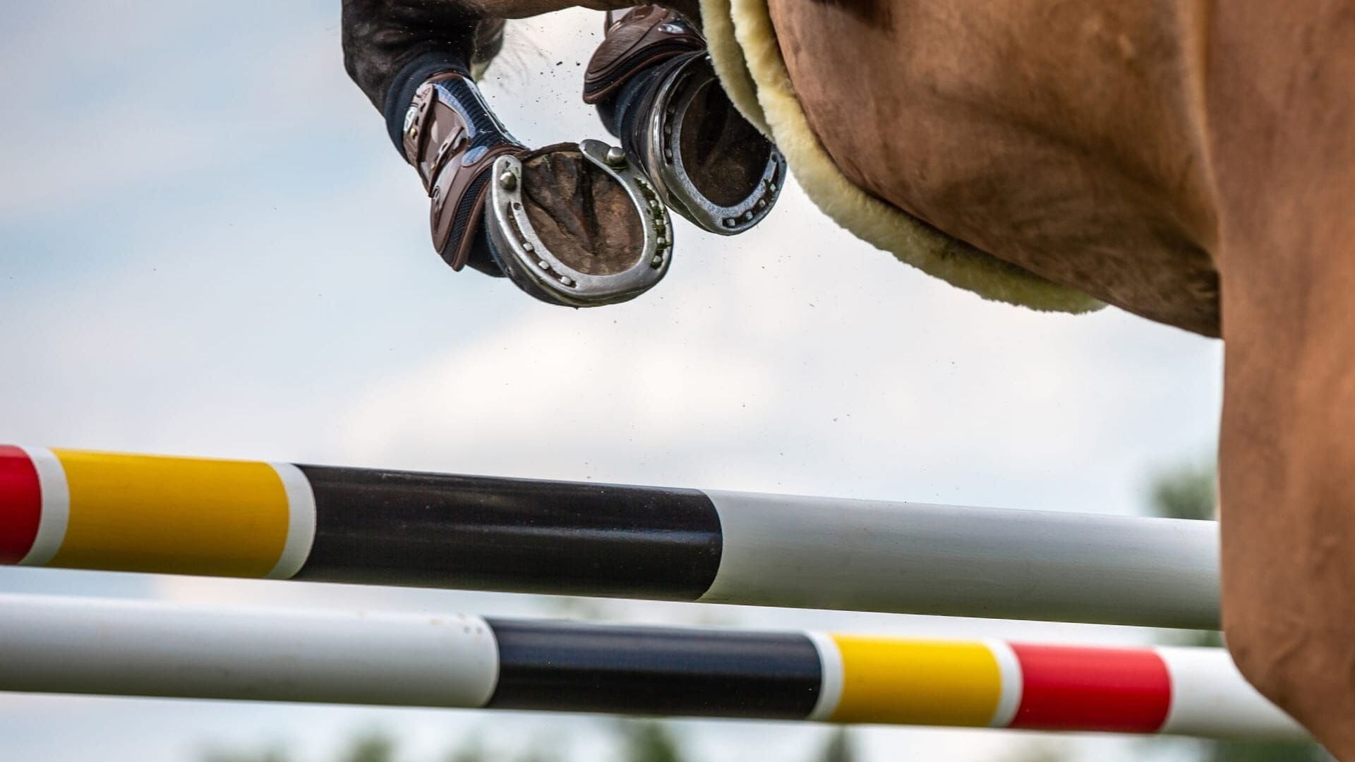 Equitation : Ligue des nations