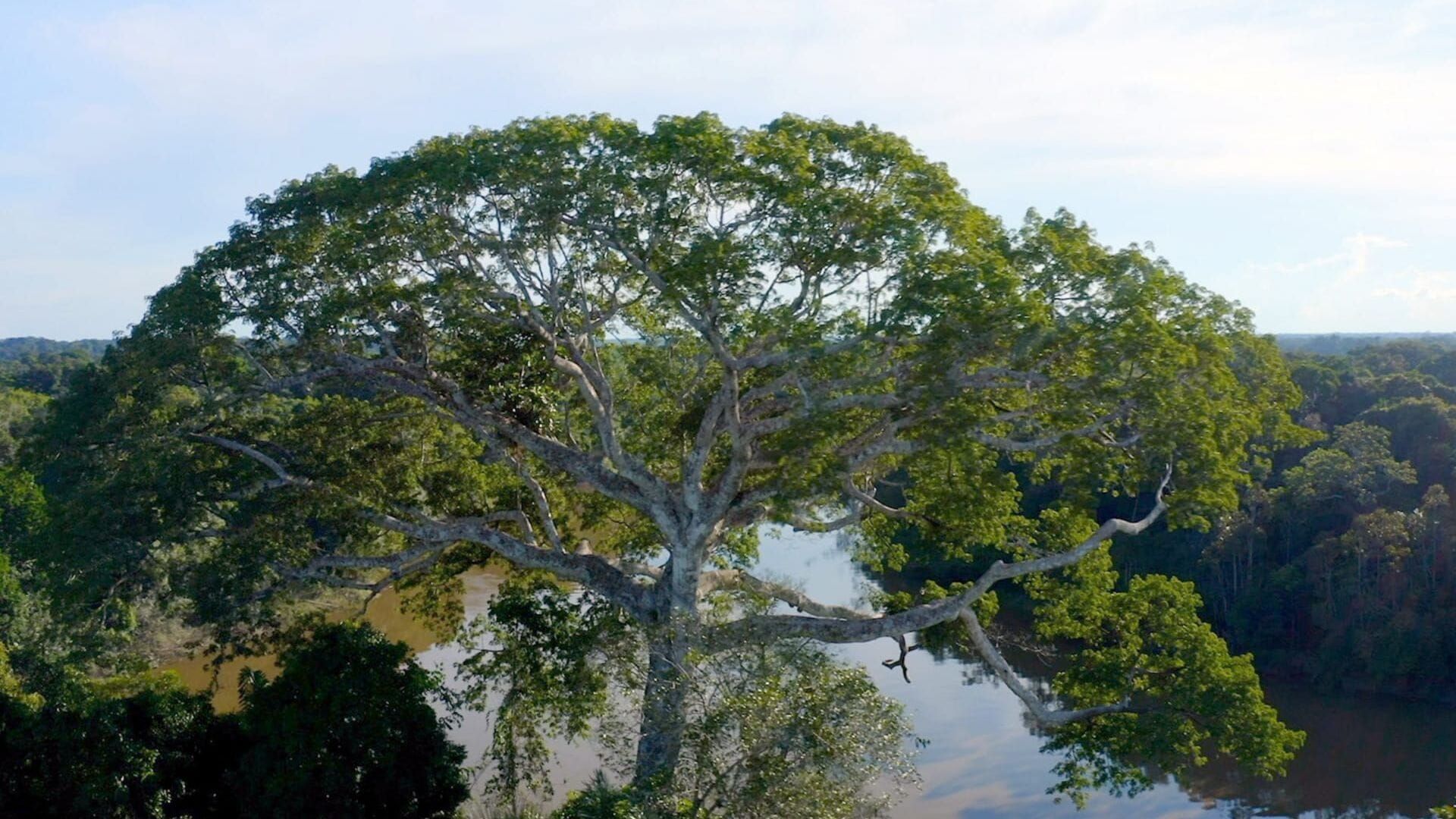 Les nouveaux sanctuaires de la nature