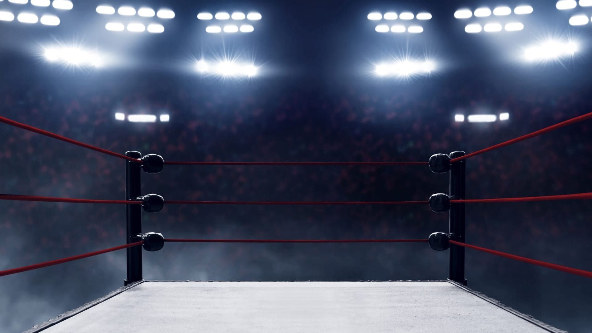 Kickboxing : ONE Fight Night