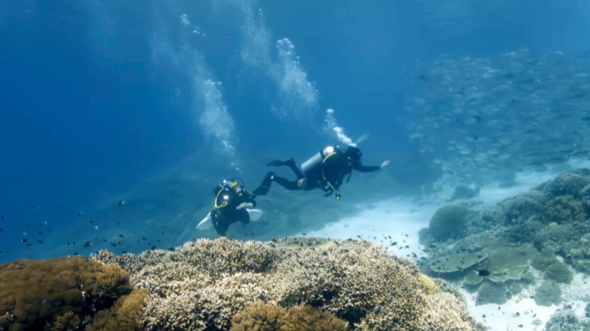 Thalassa, aventures extrêmes