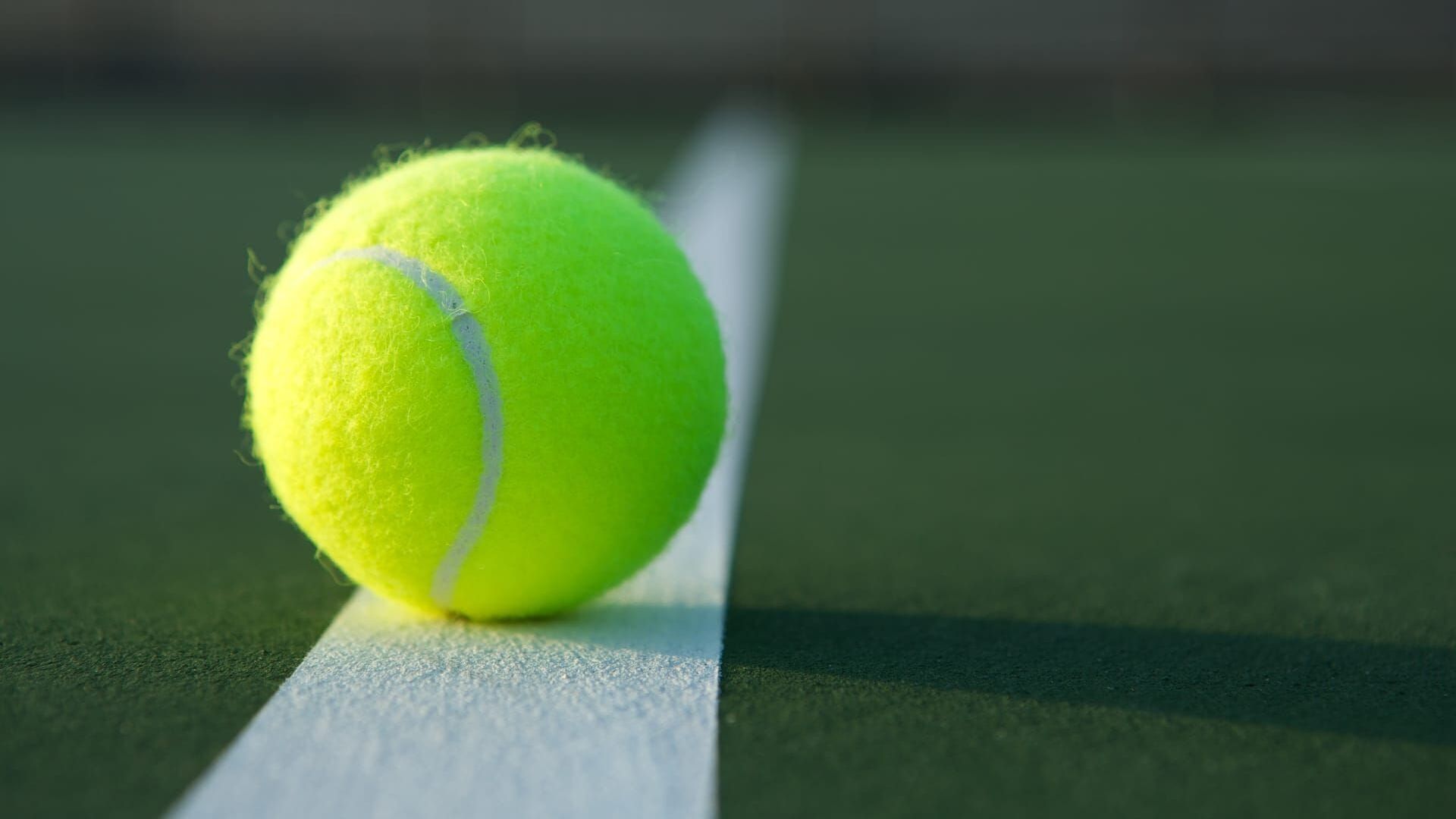 Tennis : Coupe Davis