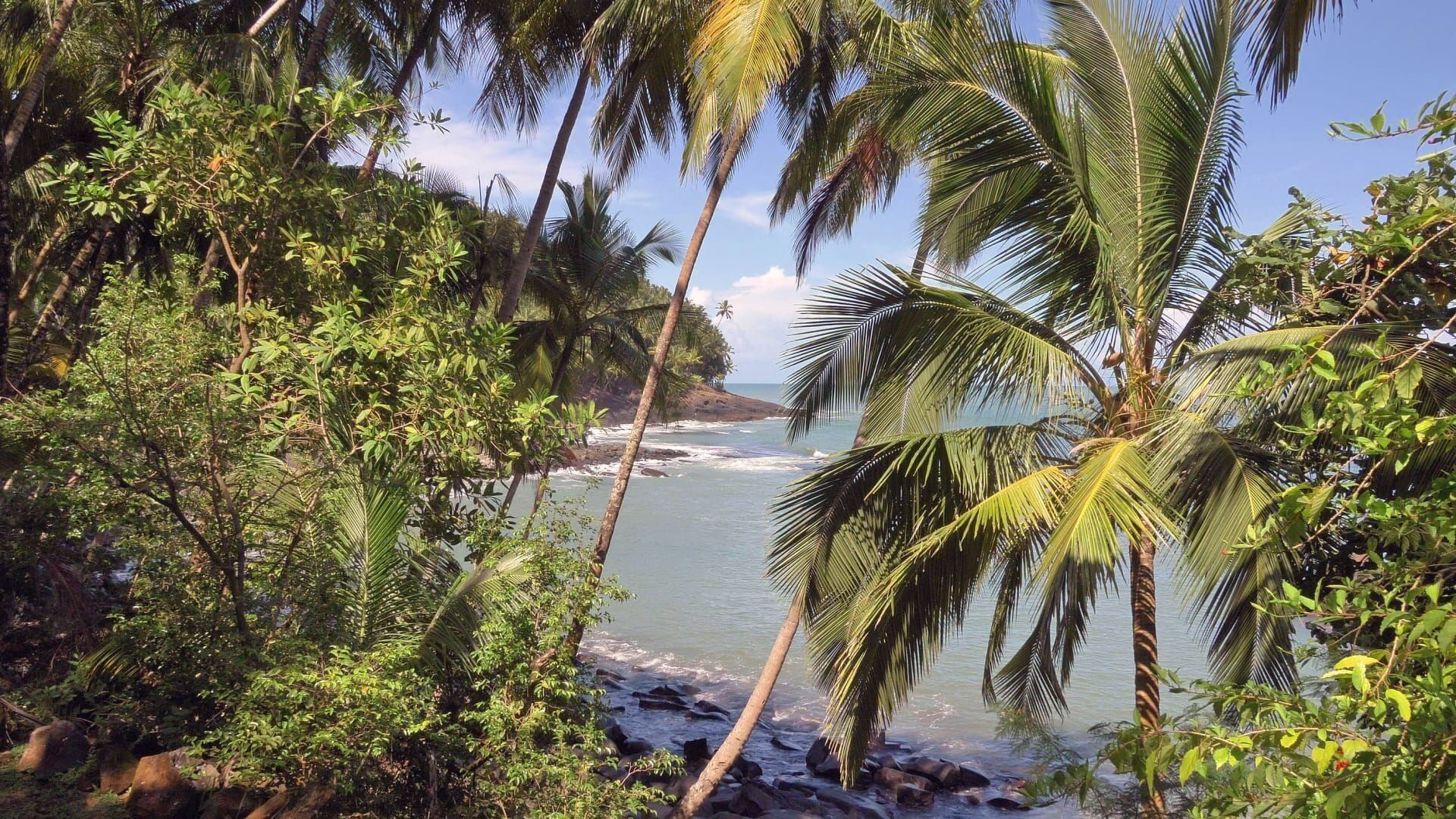 Kourou, des bagnes et des fusées