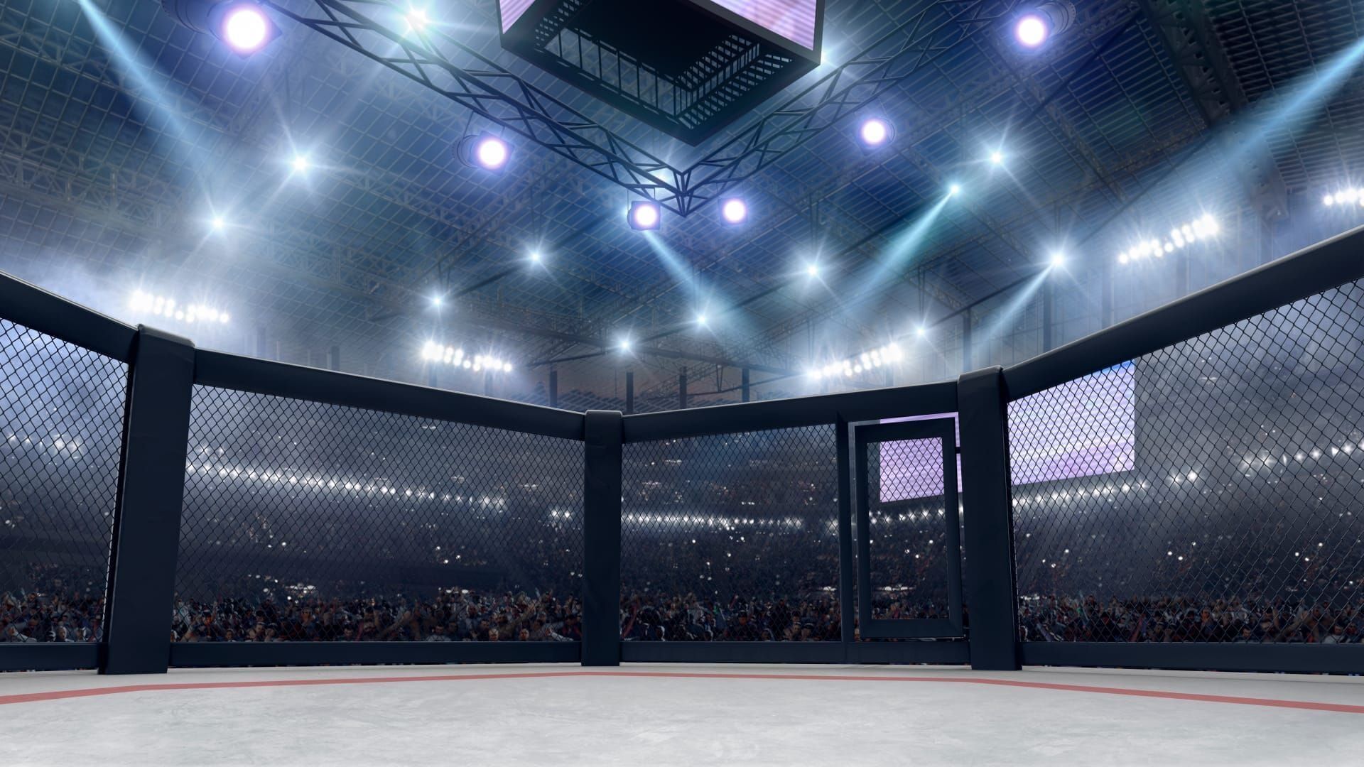 MMA : KSW