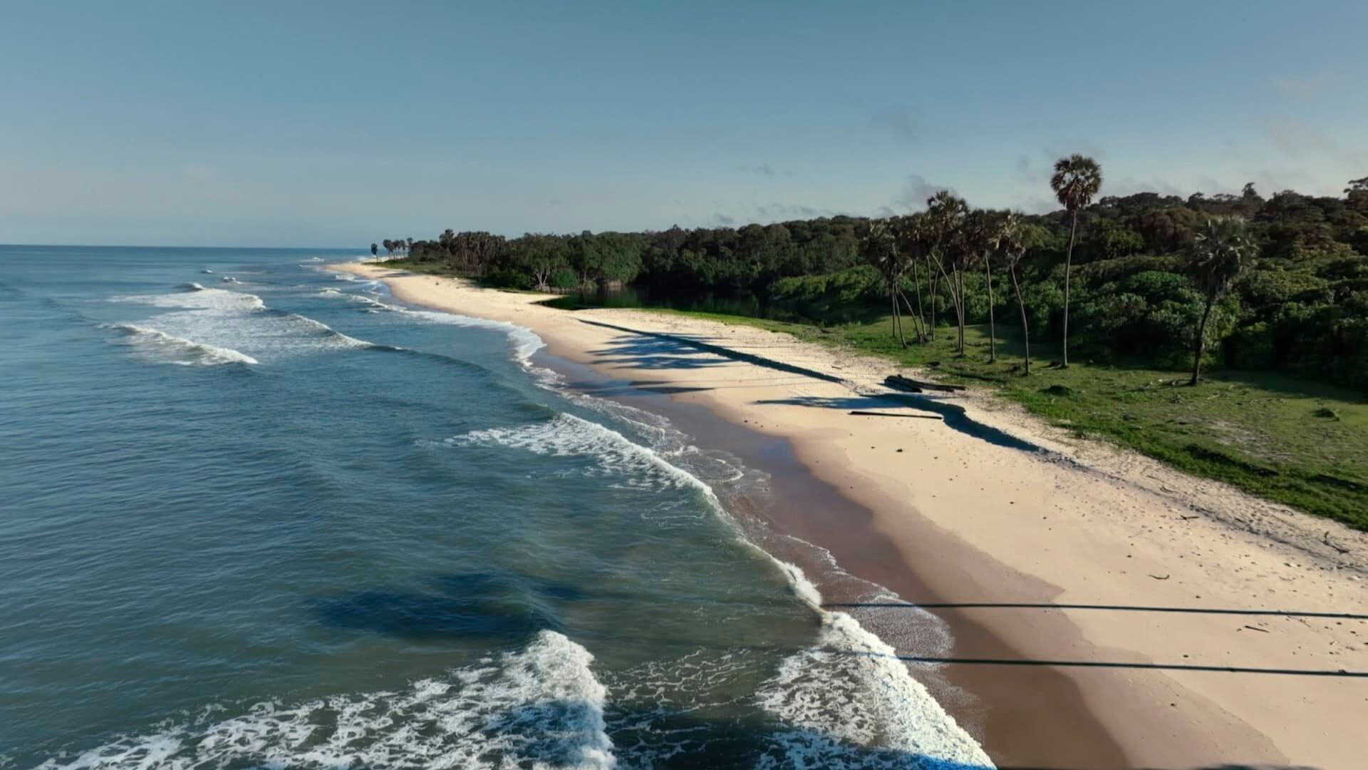 Les hippopotames surfeurs du Gabon