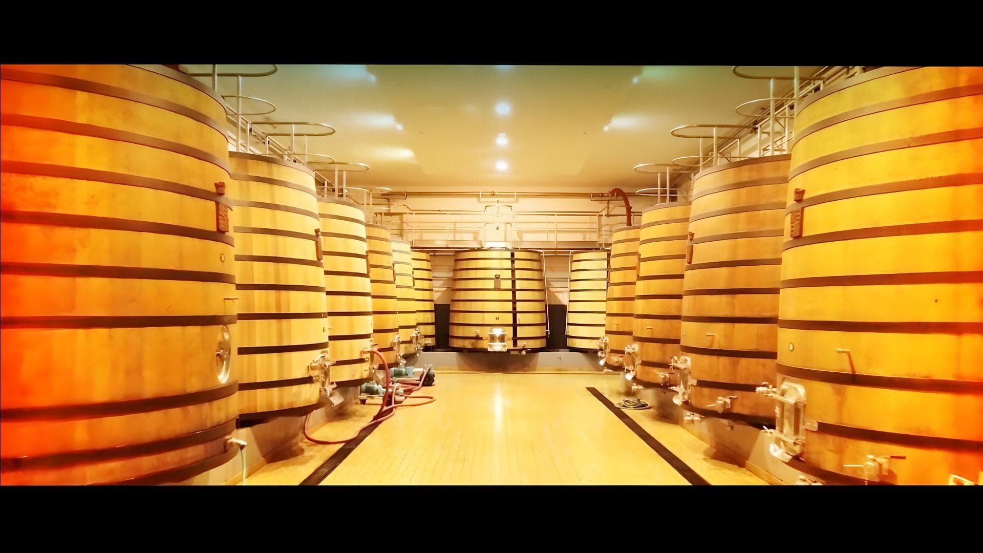 La Vigne en héritage