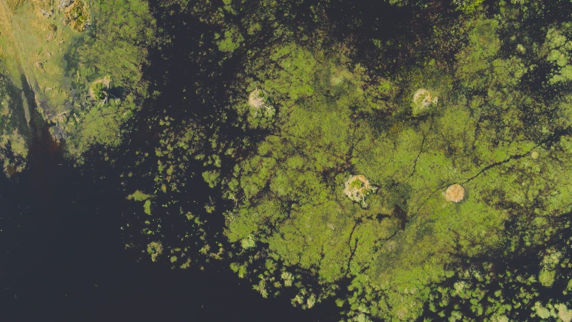 Les îles, laboratoires de la nature
