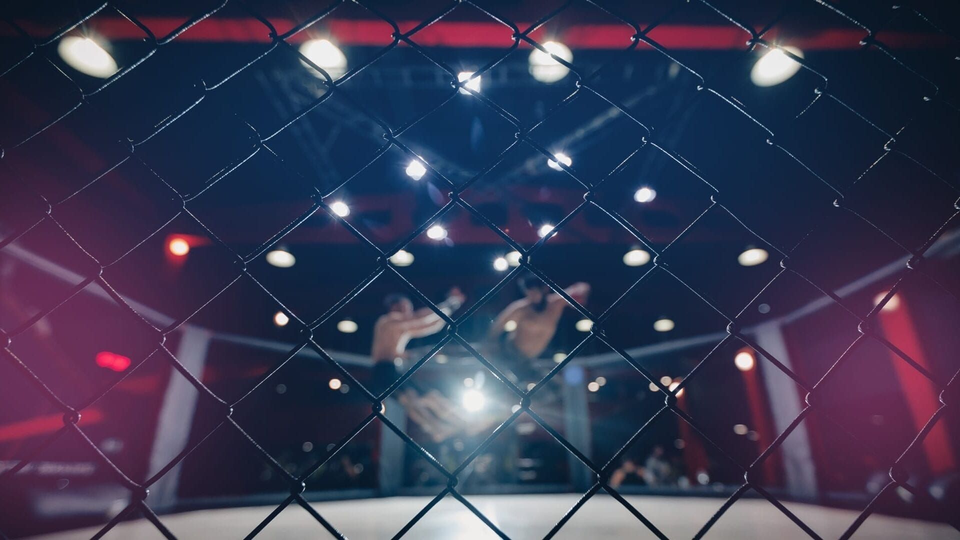 MMA : UFC