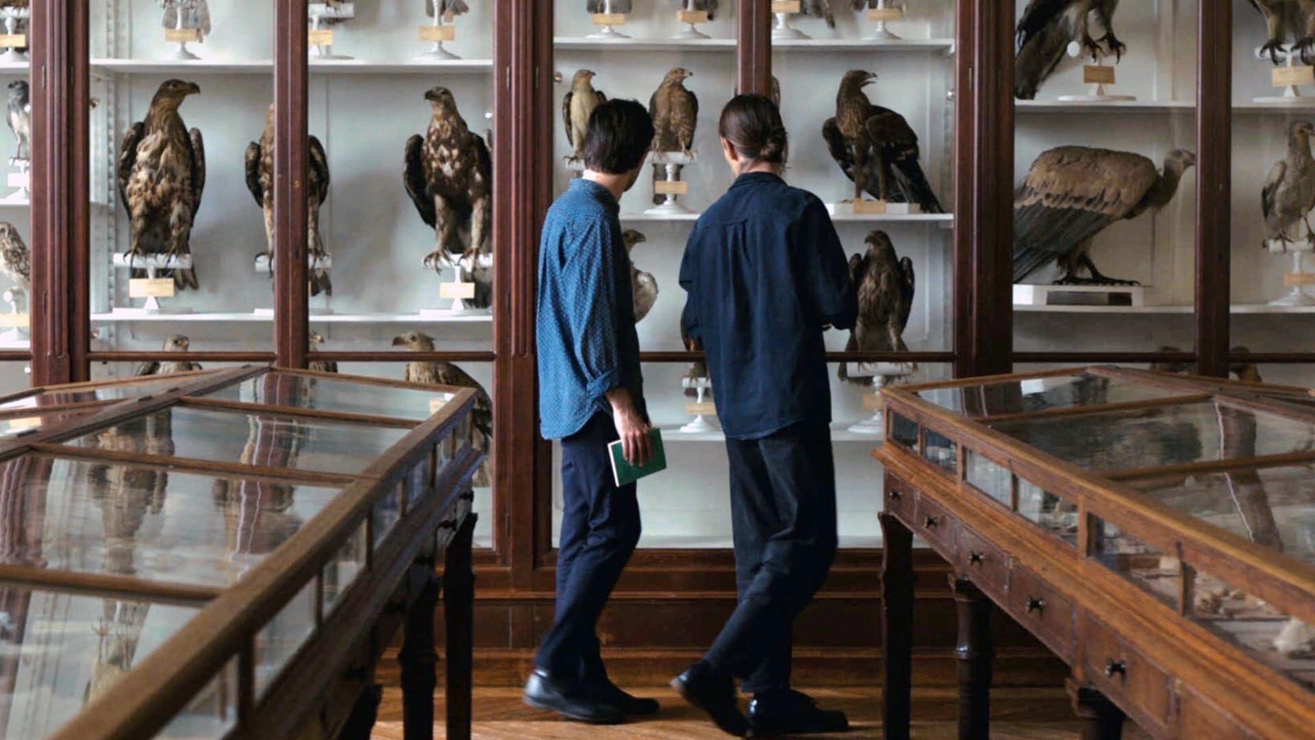 Langue des oiseaux