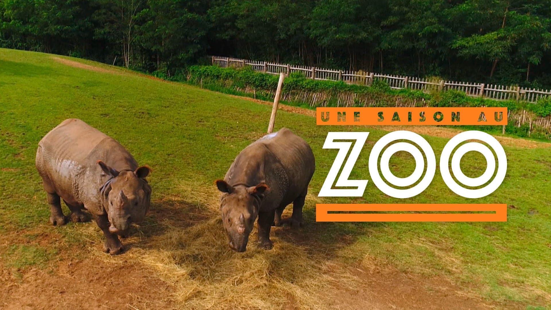 Une saison au zoo