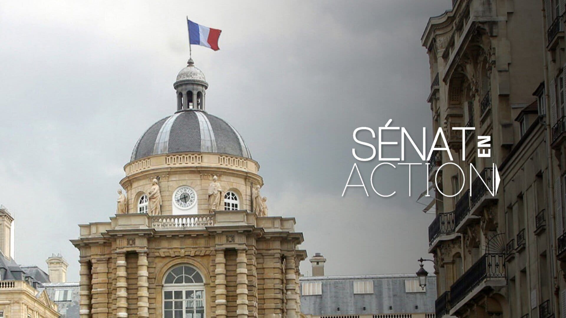 Sénat en action