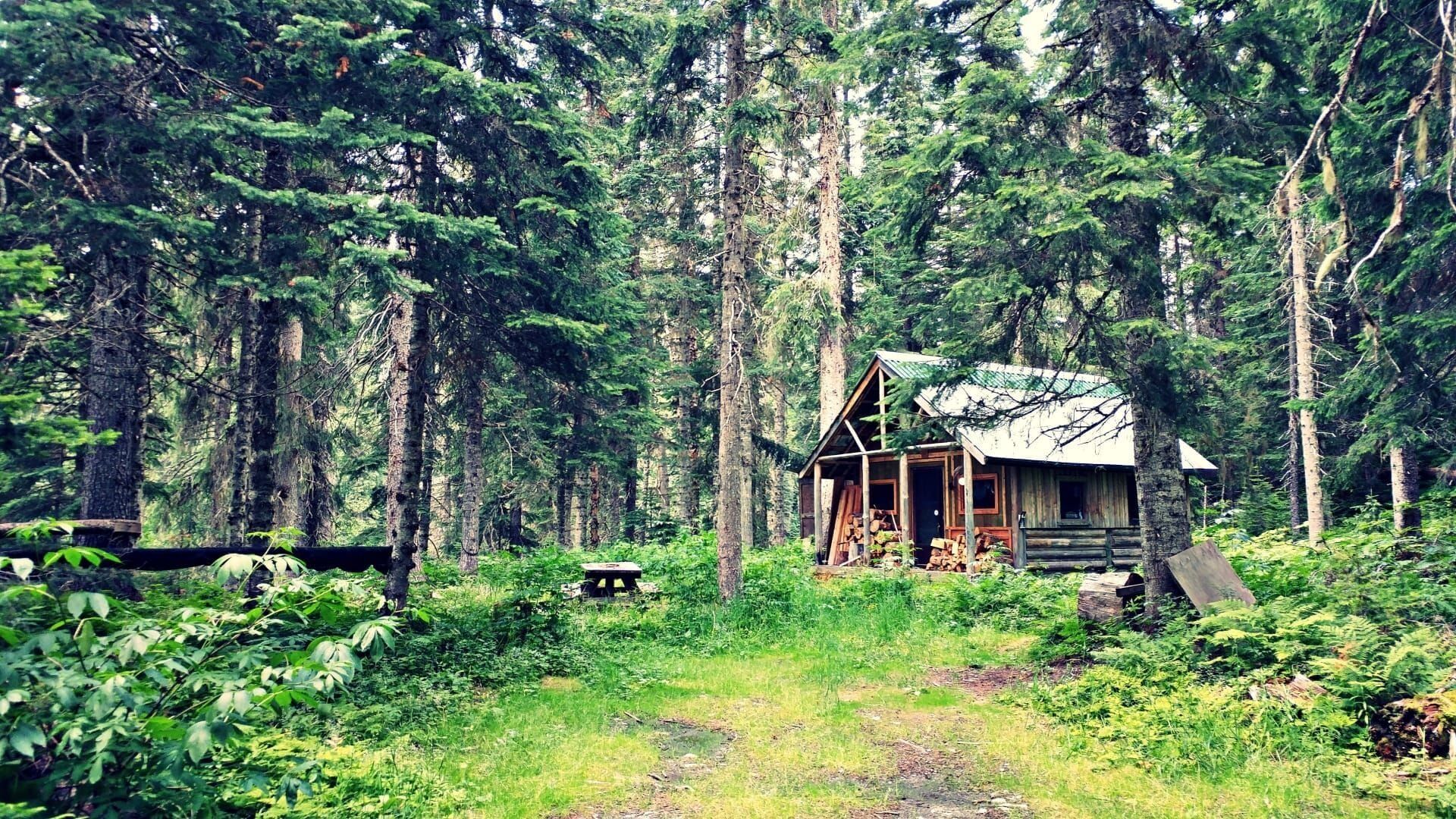 Chalets sur mesure