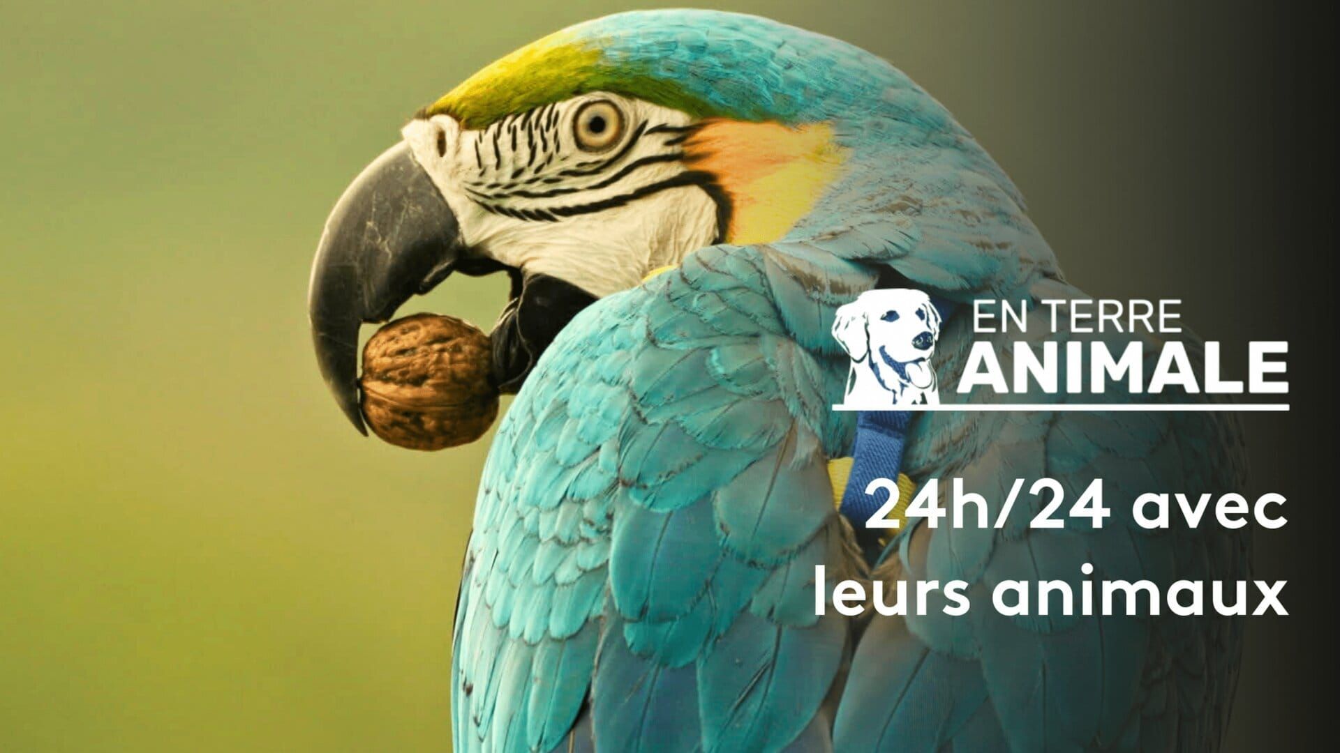 En terre animale