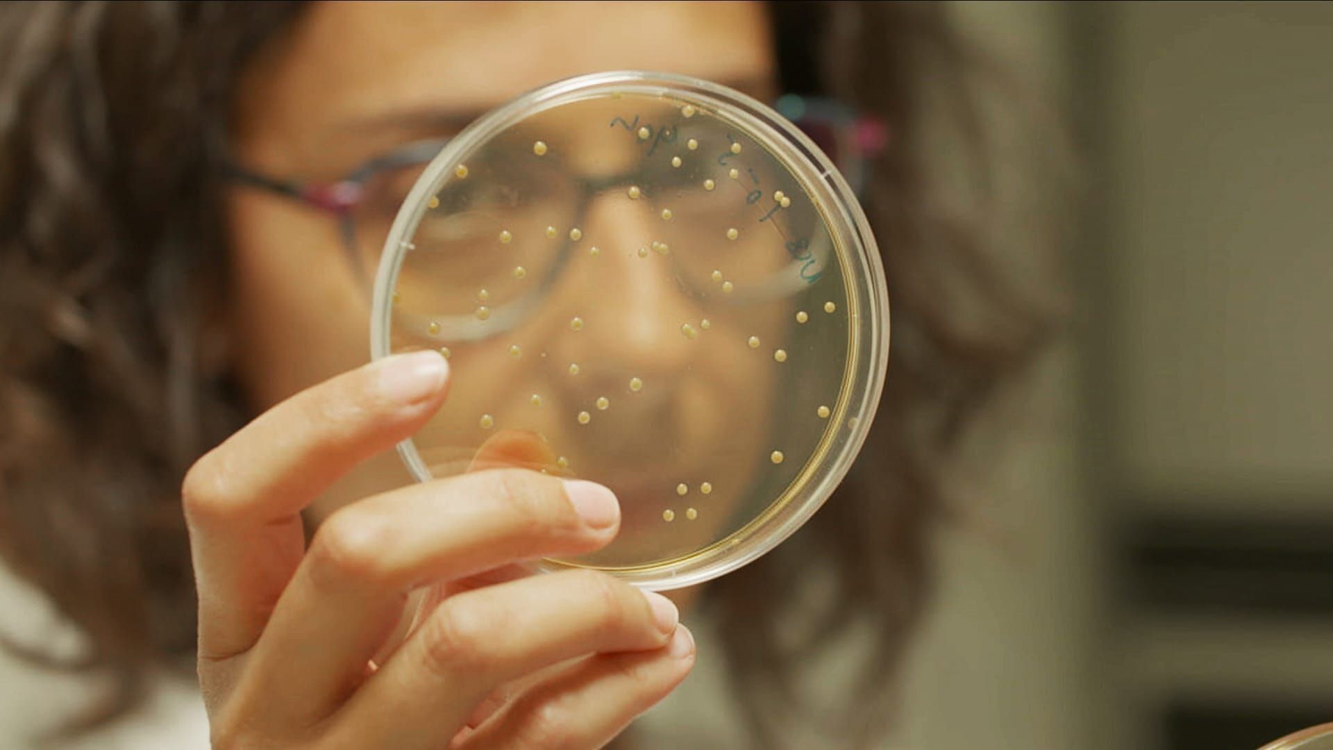 Ces microbes qui vous veulent du bien
