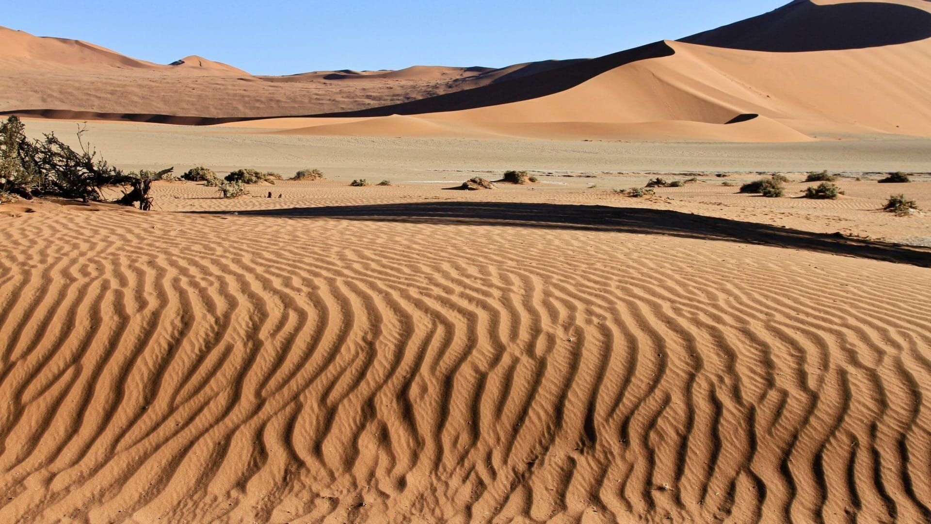 Namibie sauvage