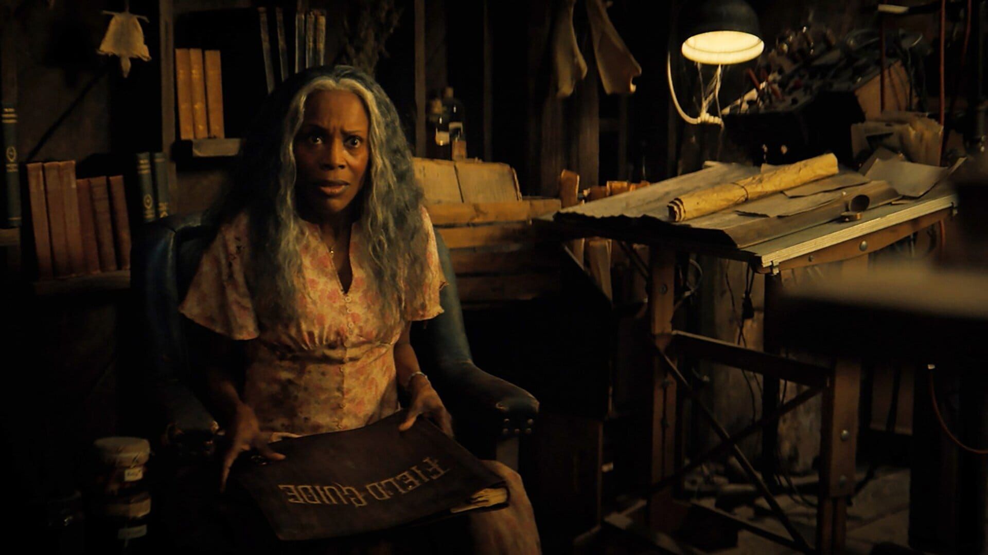 Les chroniques de Spiderwick