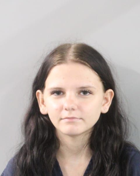 Booking photo for Nevaeh Hoogerwerff