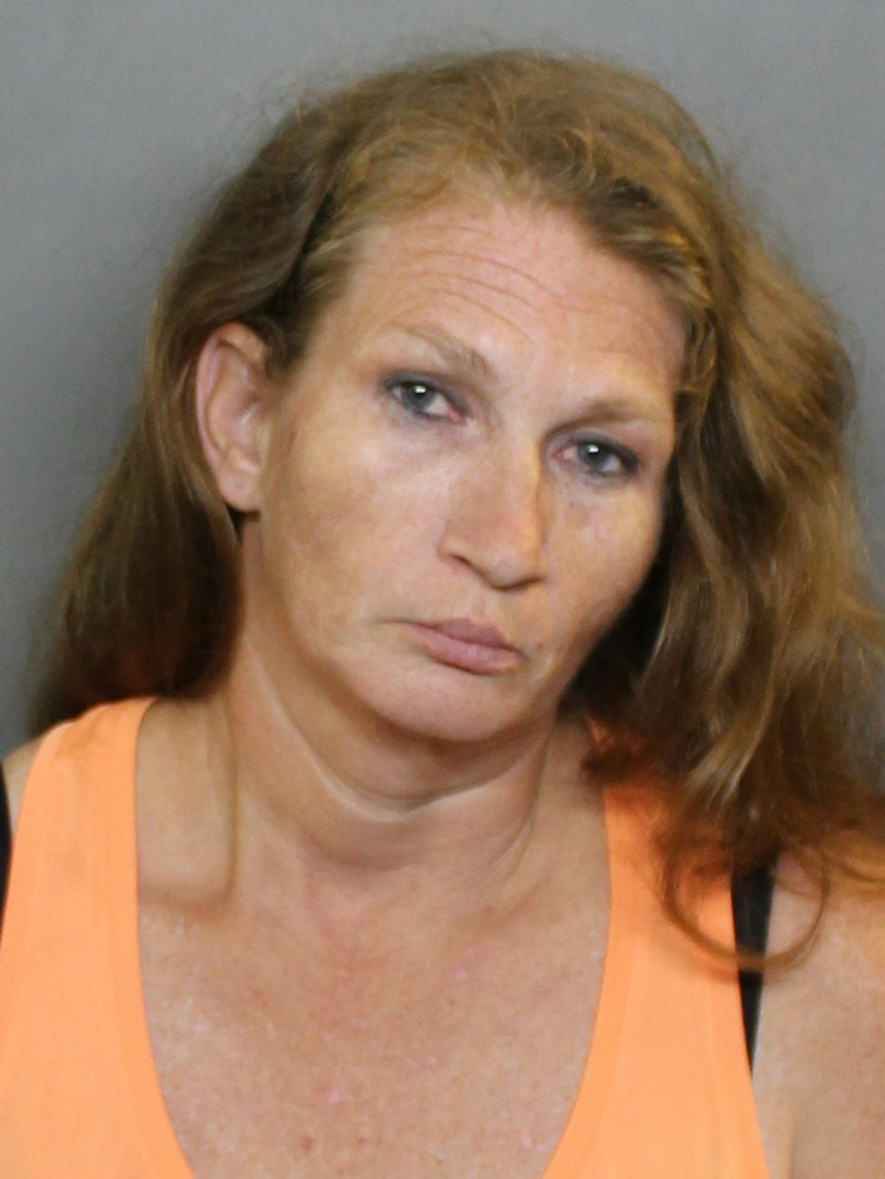 Lori Lynn Rafferty | Charlotte County, Florida