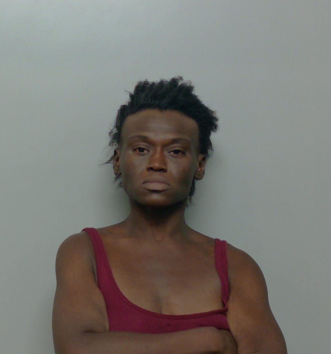 Booking photo for Takeria Mary Levina Odom
