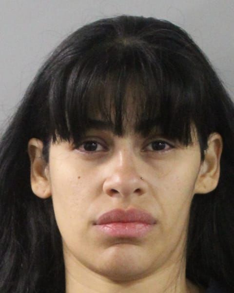 Booking photo for Luisana Maria Aponte-Rincon
