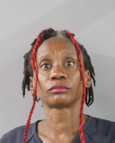 Booking photo for Teresa Y Stancil