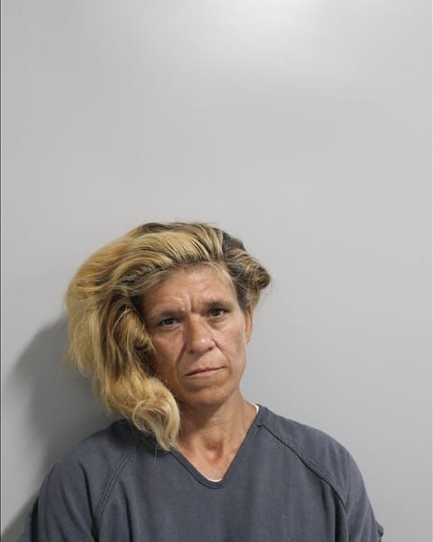 Booking photo for Brandy Lynn Thompson