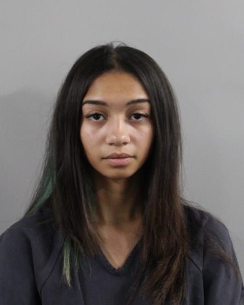 Booking photo for Jalessa L Rosario