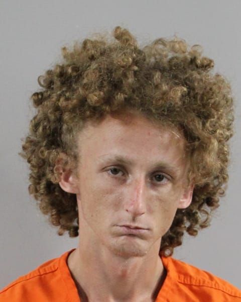 Booking photo for Devvon L Williams
