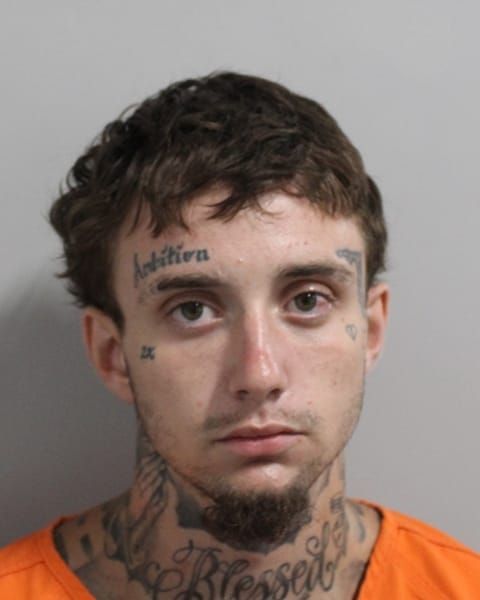 Booking photo for Aiden William Roberts