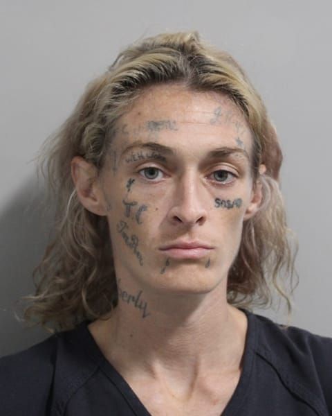 Booking photo for Karissa Elizabeth Daily-Roach