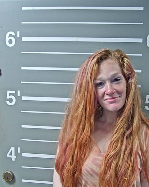Andrea L Griep | Montgomery County, Illinois