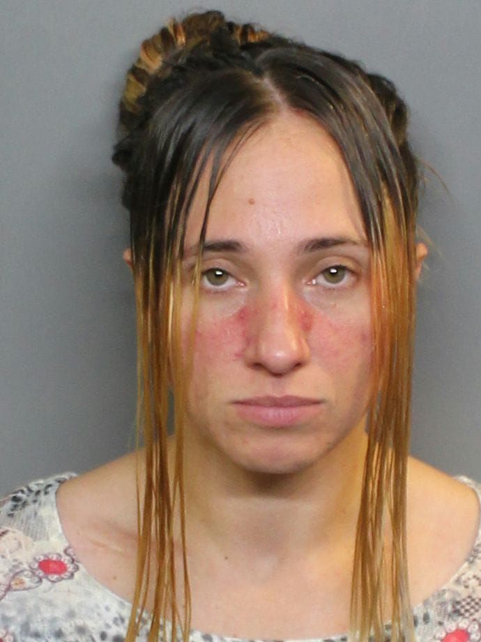 Christina Nicole Artino | Charlotte County, Florida