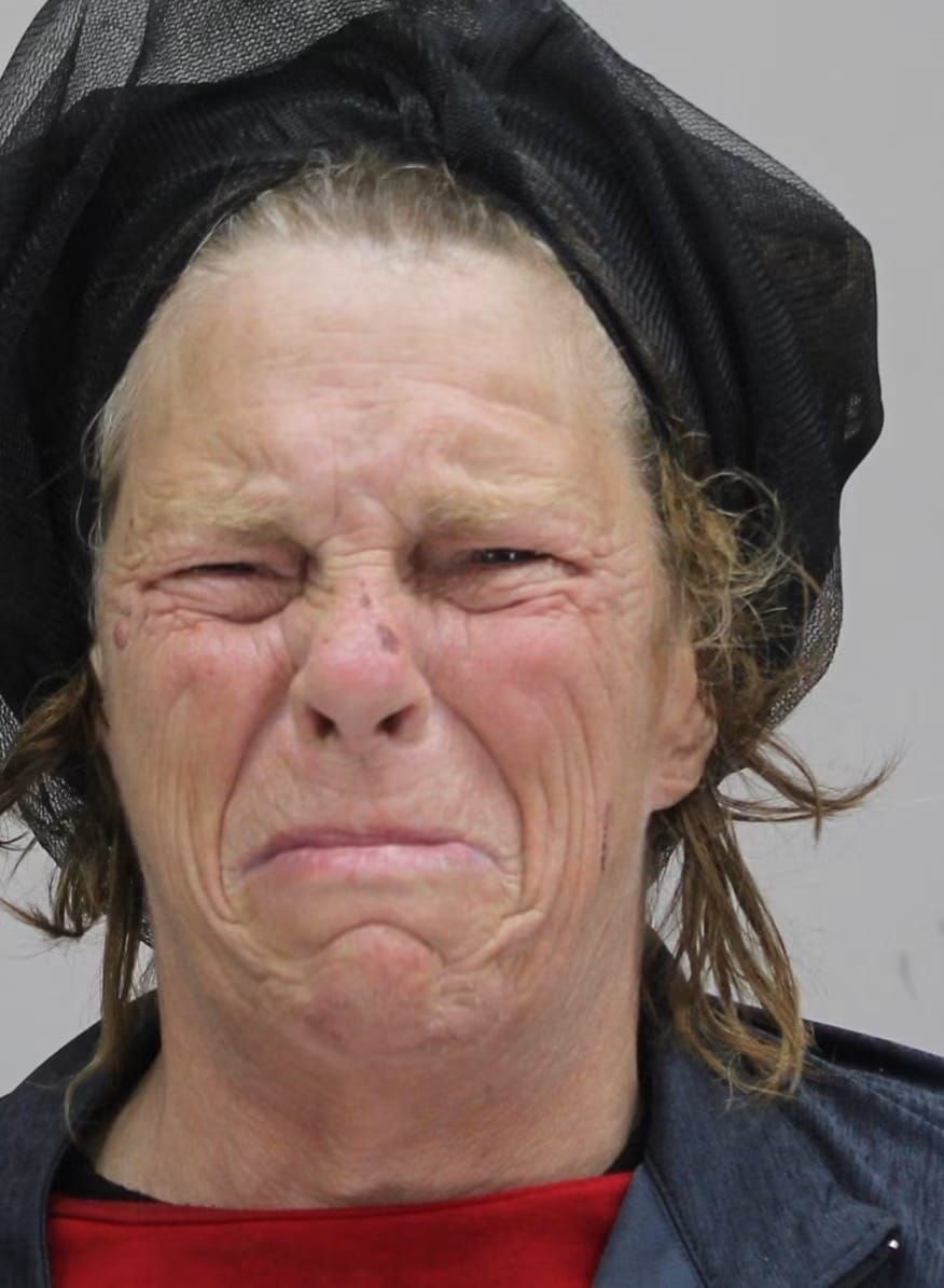 Susan Fine | Dallas County, Texas