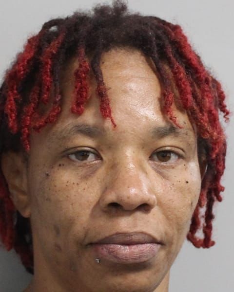 Mamie Lannette Stewart | Polk County, Florida